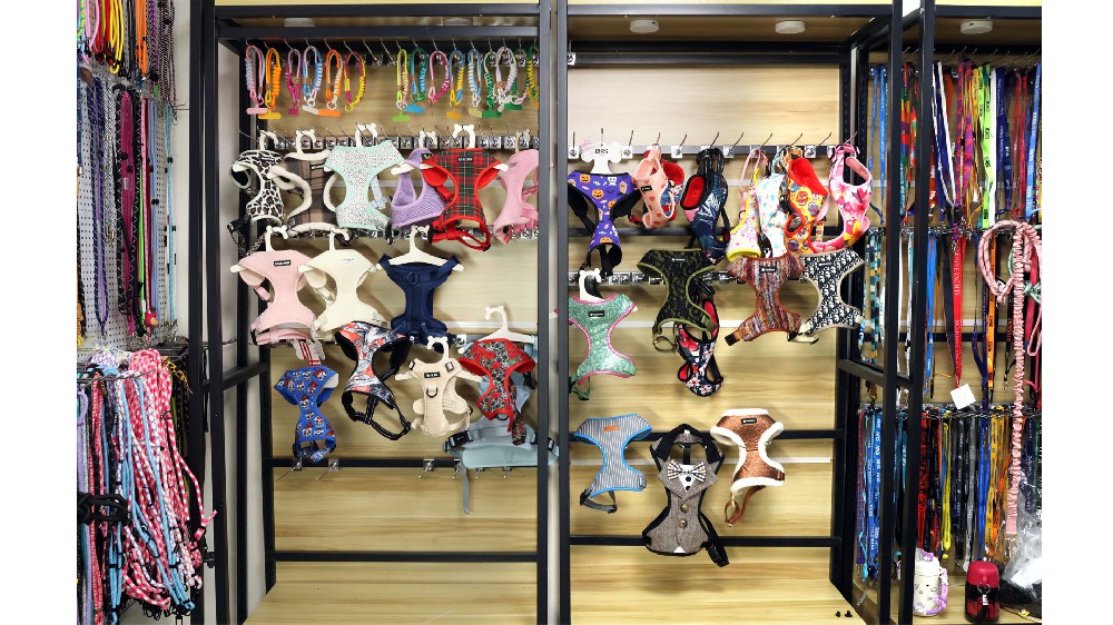 Our Showroom: Where Ideas Come to Life